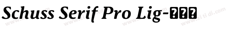 Schuss Serif Pro Lig字体转换